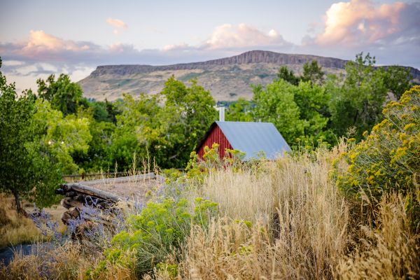 Goldan image with red barn